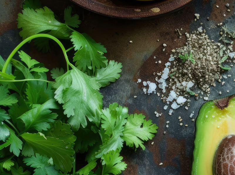 tortilla shack, santa cruz california